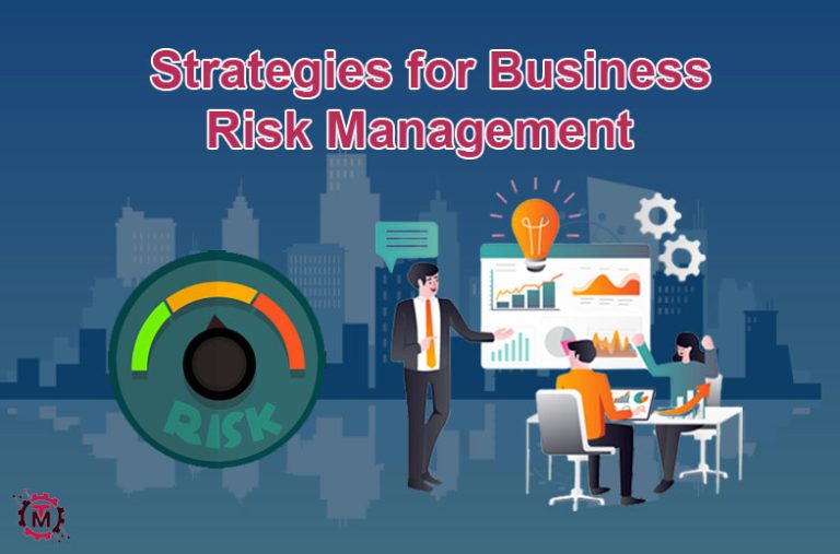 Business Risk Management Guide
