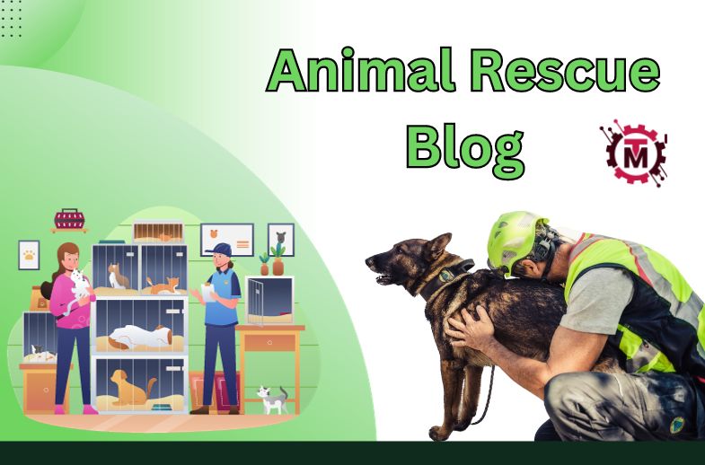 Starting Your Own Animal Rescue Blog in 5 Steps