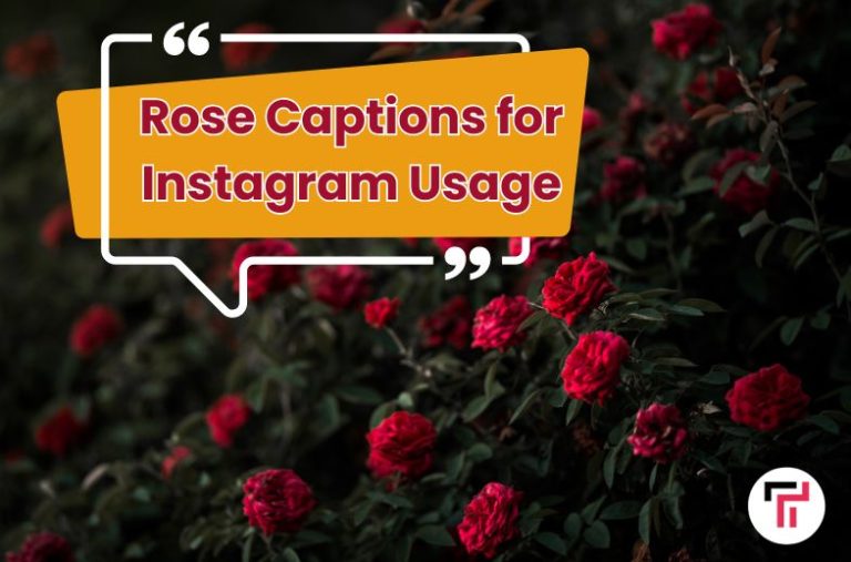 Rose Captions for Instagram Usage